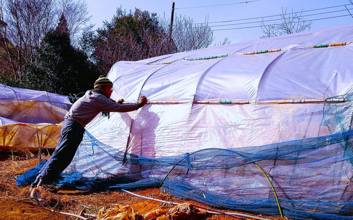 田舎暮らしには、とりわけ今年のように強風が何度も吹き、久しく経験してない寒波が連続する