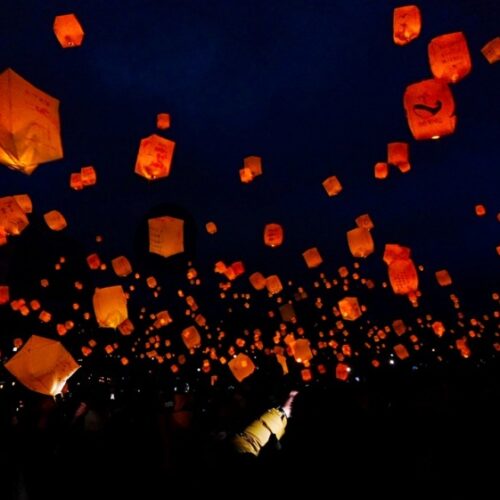 桜色のランタン約250基が夜空を彩るふくい桜まつりのランタンナイト